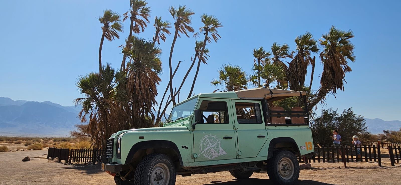 A mint-coloured jeep parked under palm trees in the desert