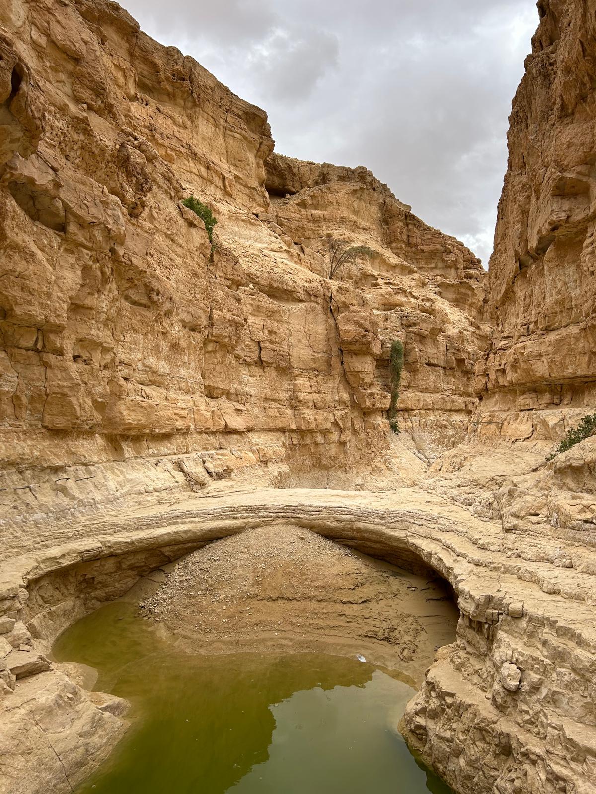 בריכת מים קטנה מתחת לקשת סלע טבעית בקניון